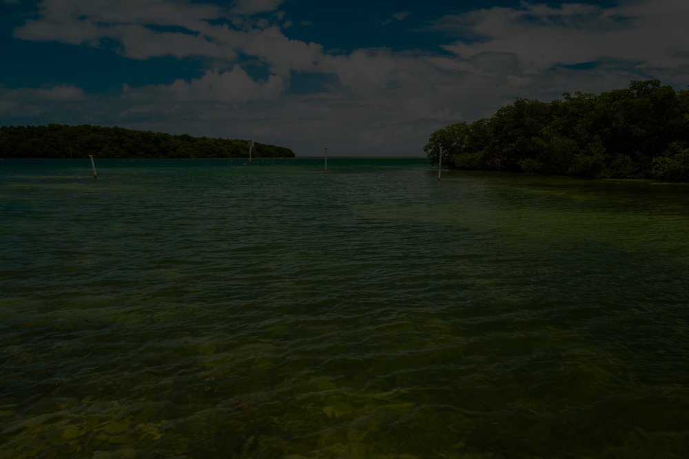 Shallow water fishing boat